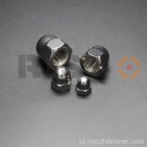 Hex Self Locking Domed Fasteners Cap Nuts